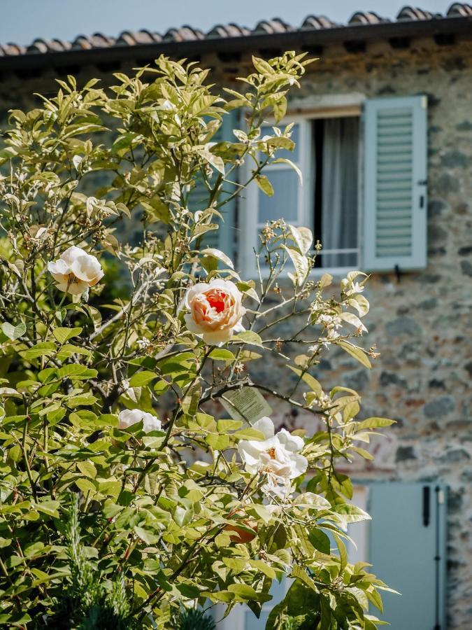 Le Molina B&B Massa e Cozzile Buitenkant foto