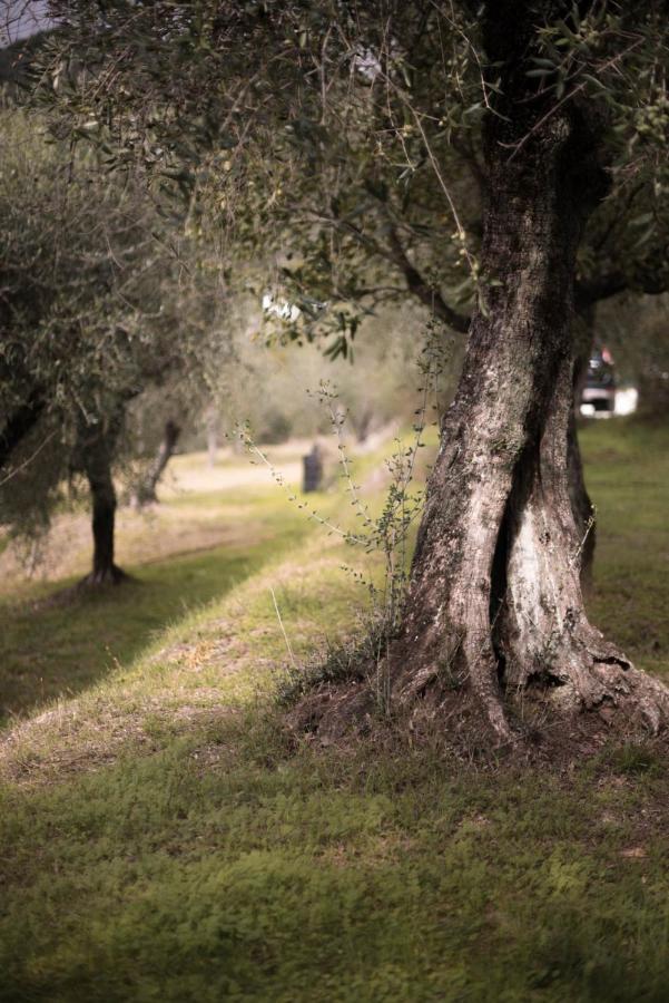 Le Molina B&B Massa e Cozzile Buitenkant foto